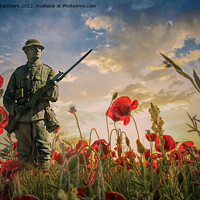 Buy canvas prints of Lest We Forget  by Alison Chambers