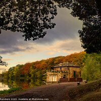 Buy canvas prints of Newmillerdam Wakefield  by Alison Chambers