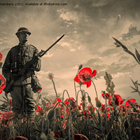 Buy canvas prints of Lest We Forget  by Alison Chambers