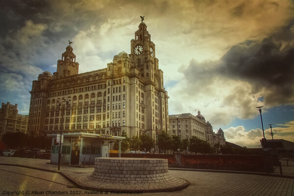 Liverpool Royal Liver Building Picture Board by Alison Chambers
