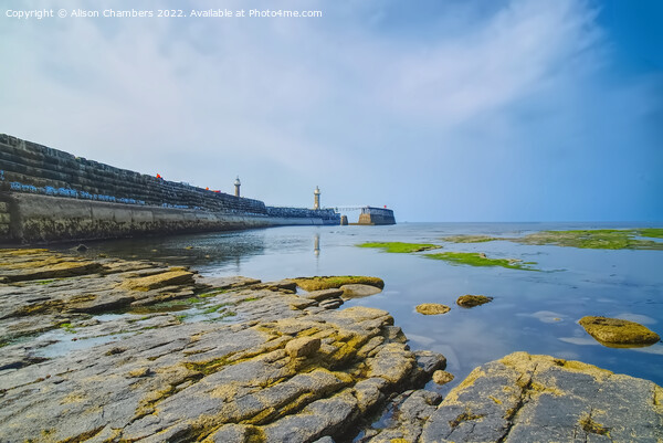 Whitby At Low Tide Picture Board by Alison Chambers