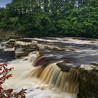 Buy canvas prints of Richmond Falls by Alison Chambers