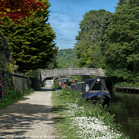 Buy canvas prints of Hebden Bridge Rochdale Canal by Alison Chambers