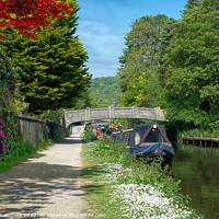 Buy canvas prints of Hebden Bridge Rochdale Canal  by Alison Chambers