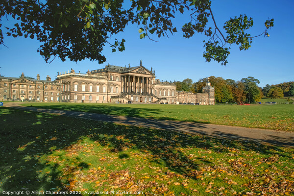 Wentworth Woodhouse Rotherham Picture Board by Alison Chambers