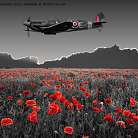 Buy canvas prints of Spitfire Poppy Field by Alison Chambers