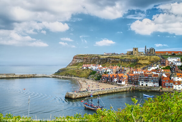 Whitby North Yorkshire  Picture Board by Alison Chambers