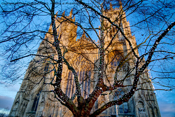 York Minster At Christmas  Picture Board by Alison Chambers