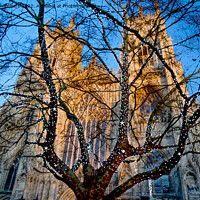 Buy canvas prints of York Minster At Christmas  by Alison Chambers
