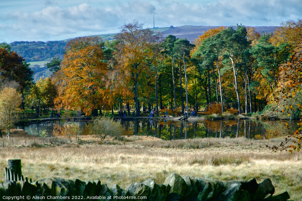 Longshaw Pond Picture Board by Alison Chambers