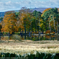 Buy canvas prints of Longshaw Pond by Alison Chambers