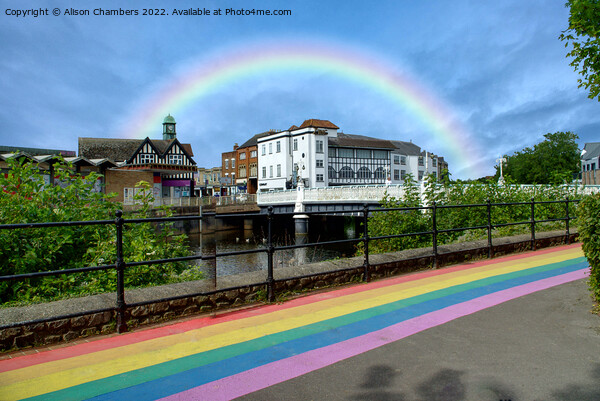 Taunton Tone Bridge and Rainbow Path Picture Board by Alison Chambers