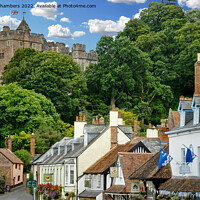 Buy canvas prints of Dunster Village and Castle by Alison Chambers