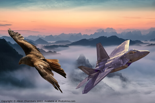 F22 Raptor Picture Board by Alison Chambers