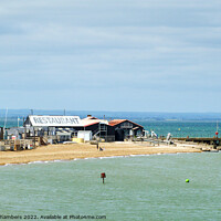 Buy canvas prints of East Quay Whitstable  by Alison Chambers