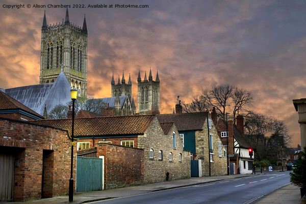Lincoln Cathedral  Picture Board by Alison Chambers