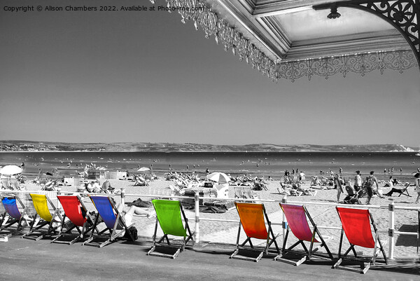 Weymouth Deckchairs Colour Selection  Picture Board by Alison Chambers