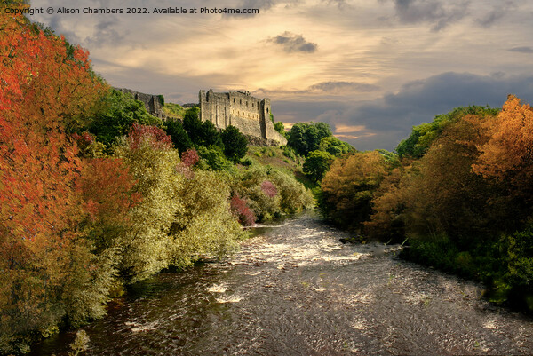 Richmond Castle in the Autumn  Picture Board by Alison Chambers