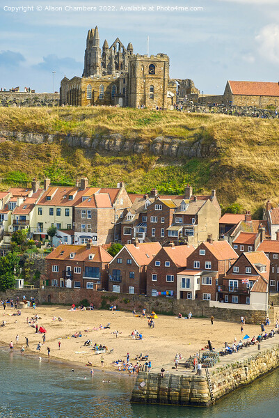 Whitby Portrait  Picture Board by Alison Chambers