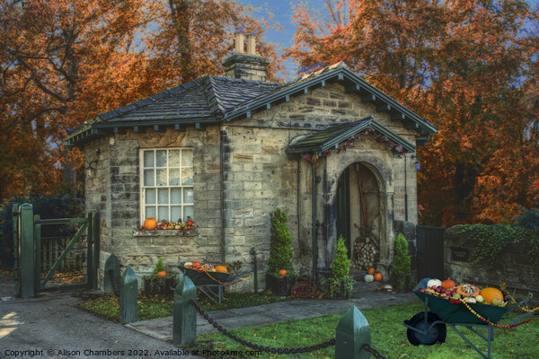 Autumn at Octagon Lodge Wentworth  Picture Board by Alison Chambers