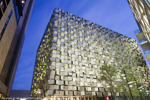 Sheffield Cheese Grater Picture Board by Alison Chambers