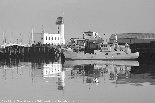 Scarborough Lighthouse Monochrome  Picture Board by Alison Chambers