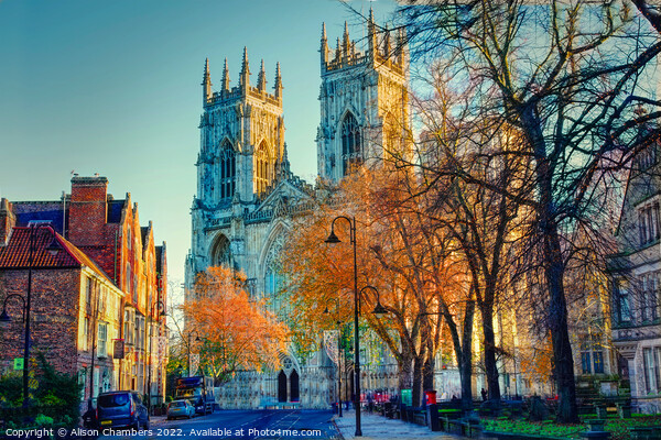 York Minster in Autumn  Picture Board by Alison Chambers