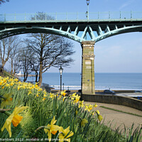 Buy canvas prints of Scarborough Cliff Bridge and Daffodils  by Alison Chambers