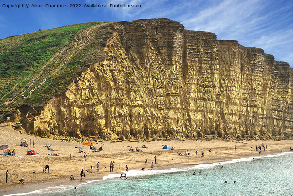 West Bay Dorset Picture Board by Alison Chambers