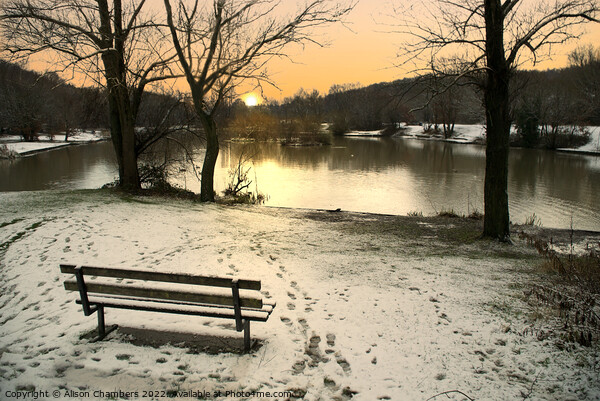 Winter in Dearne Valley Park Picture Board by Alison Chambers