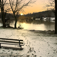 Buy canvas prints of Winter in Dearne Valley Park by Alison Chambers