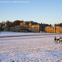 Buy canvas prints of Wentworth Woodhouse in Winter by Alison Chambers