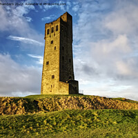 Buy canvas prints of Victoria Tower Castle Hill by Alison Chambers