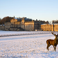 Buy canvas prints of Wentworth Woodhouse  by Alison Chambers