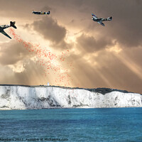 Buy canvas prints of Dover Poppy Drop by Alison Chambers