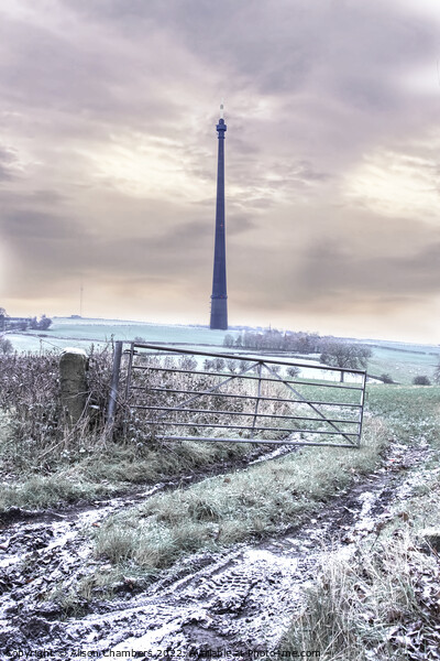 Snowy Emley Moor Mast  Picture Board by Alison Chambers
