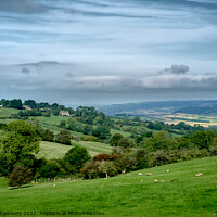 Buy canvas prints of Gloucestershire Cotswolds Landscape  by Alison Chambers