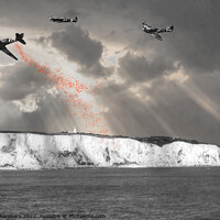 Buy canvas prints of Dover Poppy Drop Colour Selection  by Alison Chambers