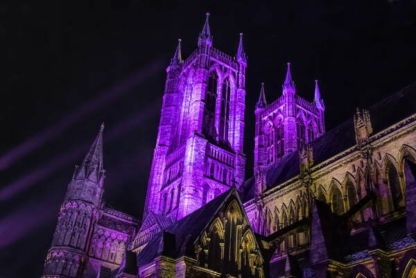 Lincoln Cathedral at Night Picture Board by Alison Chambers