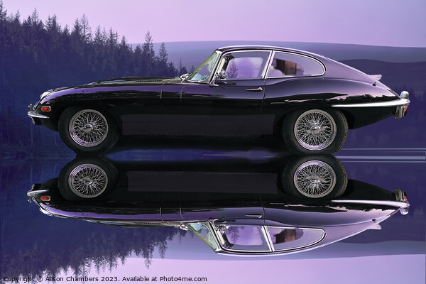 Jaguar E Type Picture Board by Alison Chambers