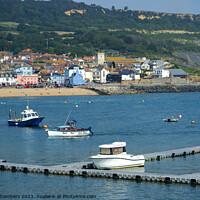 Buy canvas prints of Lyme Regis View by Alison Chambers