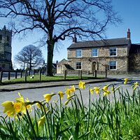 Buy canvas prints of Barnburgh Doncaster  by Alison Chambers