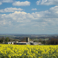 Buy canvas prints of View Of Woolley by Alison Chambers