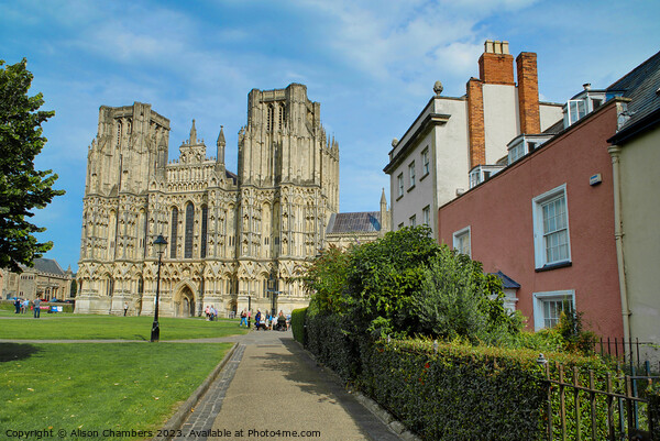 Wells Cathedral  Picture Board by Alison Chambers