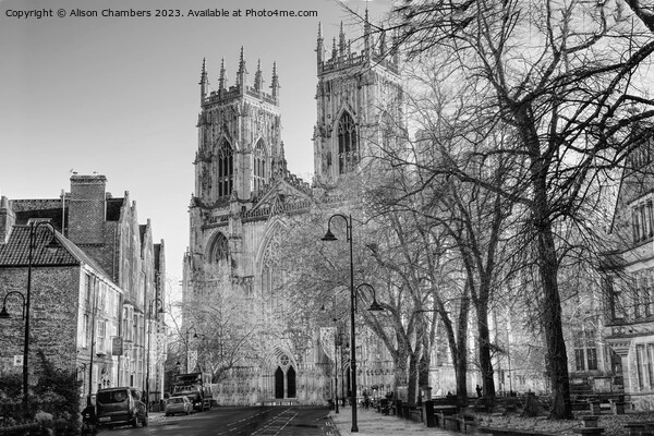 York Minster  Picture Board by Alison Chambers