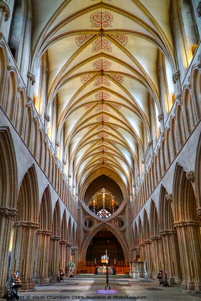 Wells Cathedral Interior  Picture Board by Alison Chambers