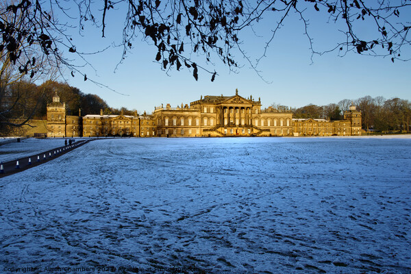 Wentworth Woodhouse  Picture Board by Alison Chambers