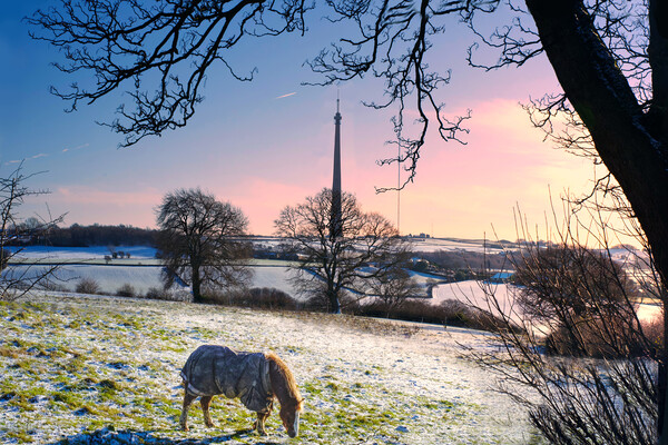 Emley Moor Mast Picture Board by Alison Chambers