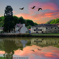 Buy canvas prints of Sprotbrough by Alison Chambers