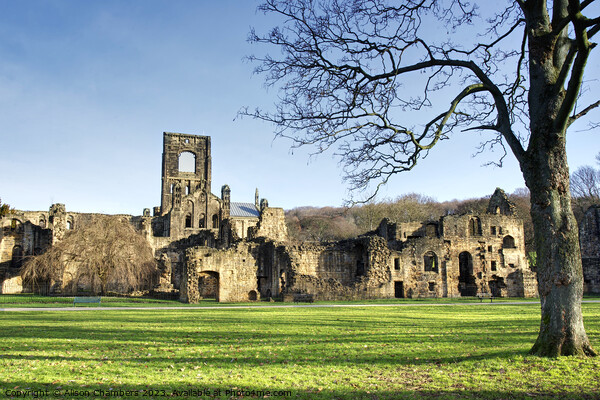 Kirkstall Abbey  Picture Board by Alison Chambers